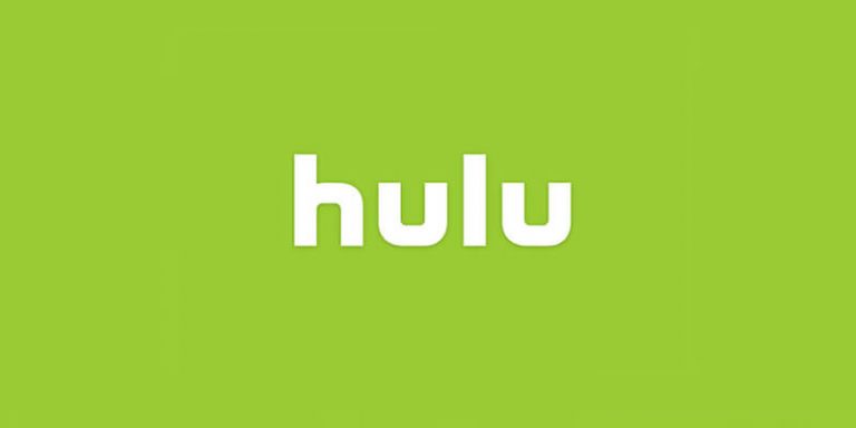 best hulu video downloader review