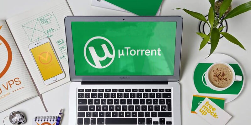 The Most Popular Torrent Websites