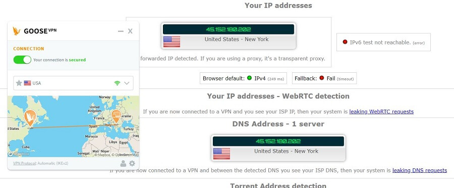 Goose VPN IP Leak