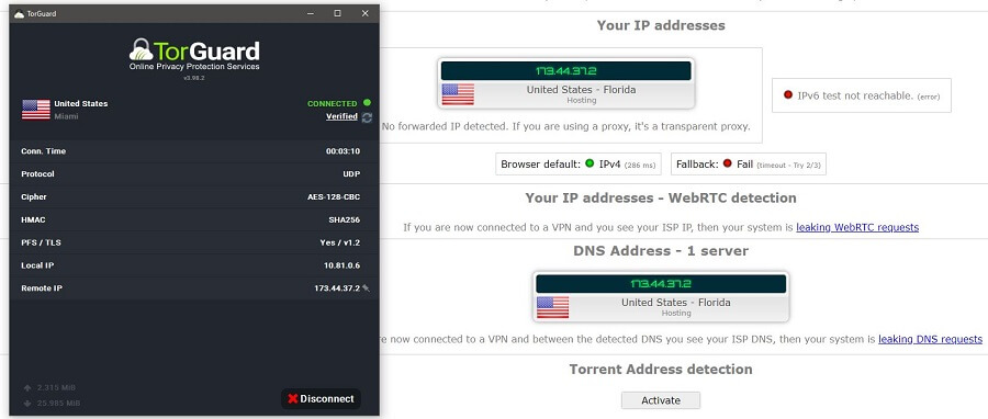 TorGuard IP Leak Test