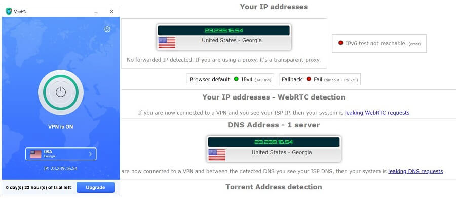 VeePN IP Leak Test