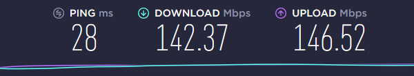 Goose VPN Speed US