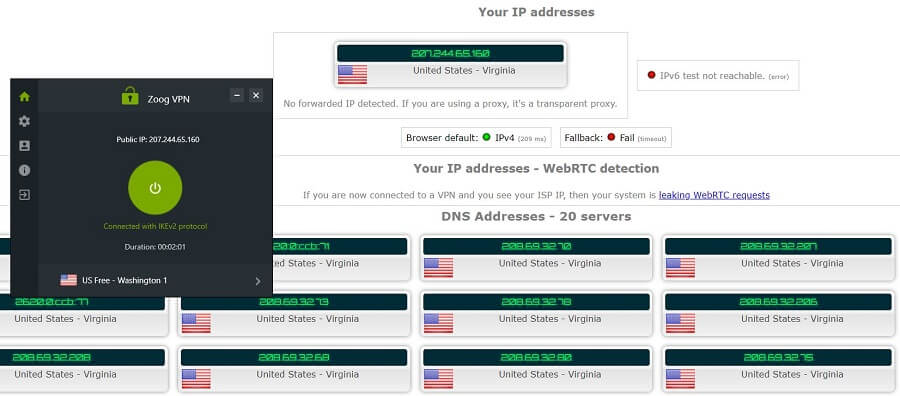 ZoogVPN IP Leak Test