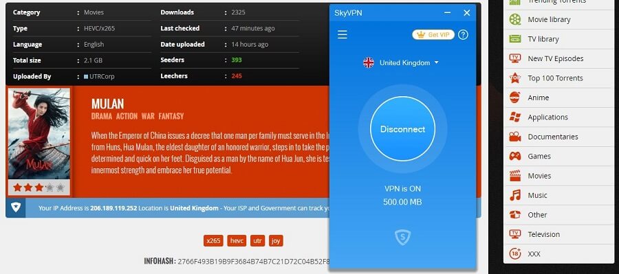 SkyVPN Torrenting